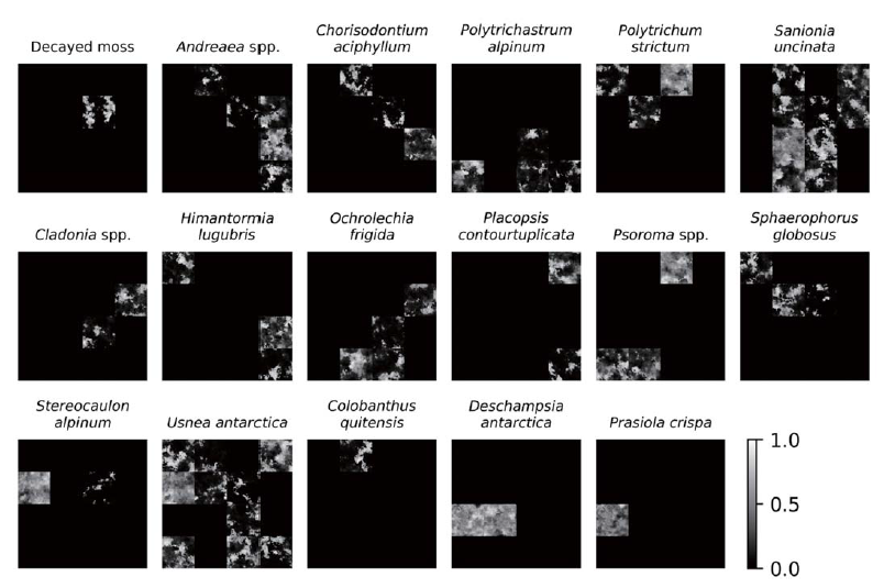 Simulated fractional abundance images of 16 vegetation species and decayed moss generated by the Spheric Gaussian Fields method