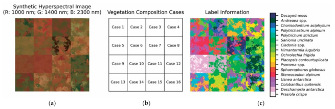 (a) Generated and combined synthetic hyperspectral images for each (b) vegetation compositional cases as defined in Table 2. (c) Class labels as defined by the most dominant fractional abundances