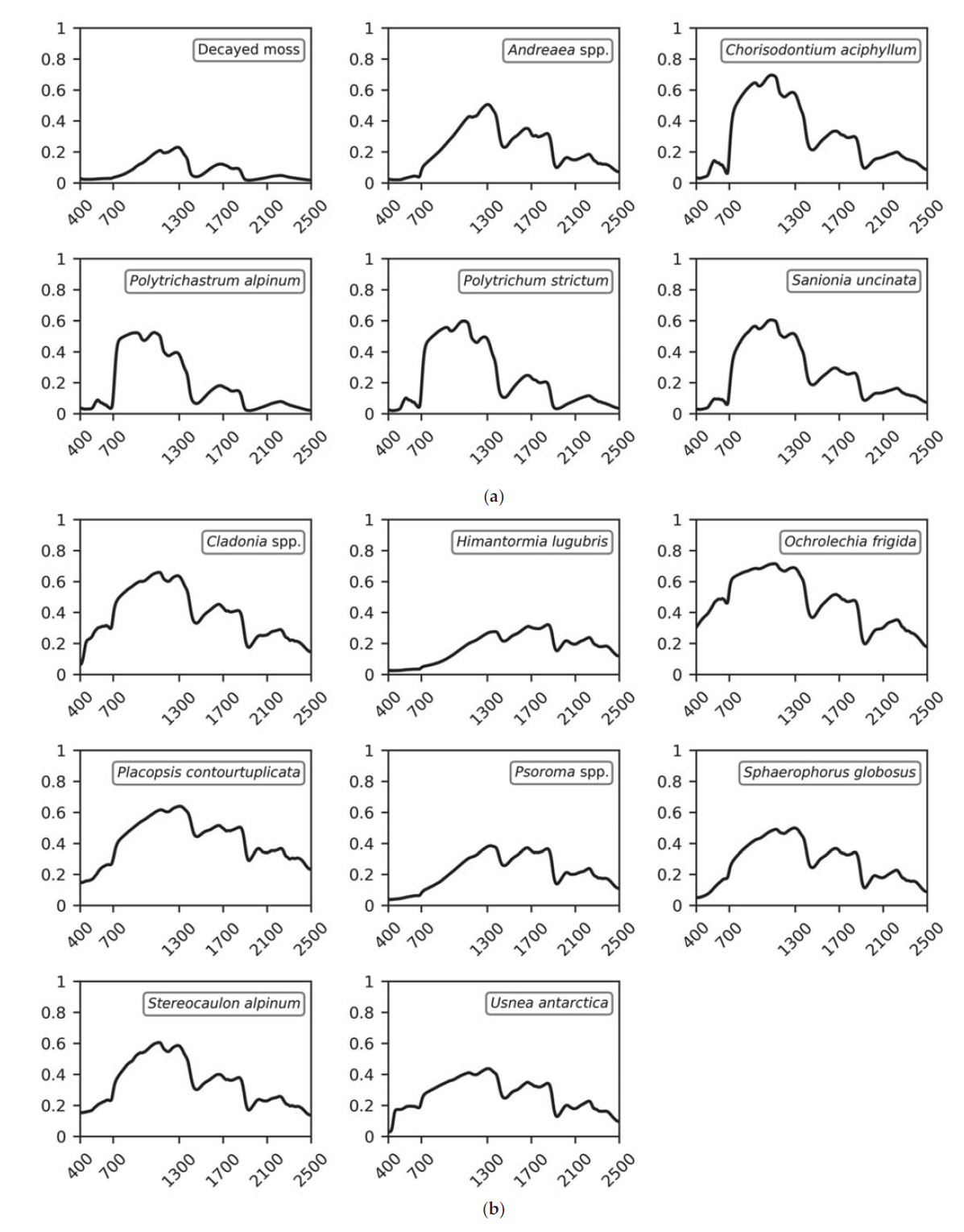 Spectral reflectance curves of 16 representative vegetation species and decayed moss in the Barton Peninsula, for: (a) mosses; (b) lichens; (c) vascular plants and alga group. x-axes show wavelength (nm), and y-axes show reflectance(Cont.)