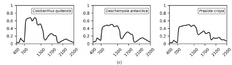 Spectral reflectance curves of 16 representative vegetation species and decayed moss in the Barton Peninsula, for: (a) mosses; (b) lichens; (c) vascular plants and alga group. x-axes show wavelength (nm), and y-axes show reflectance