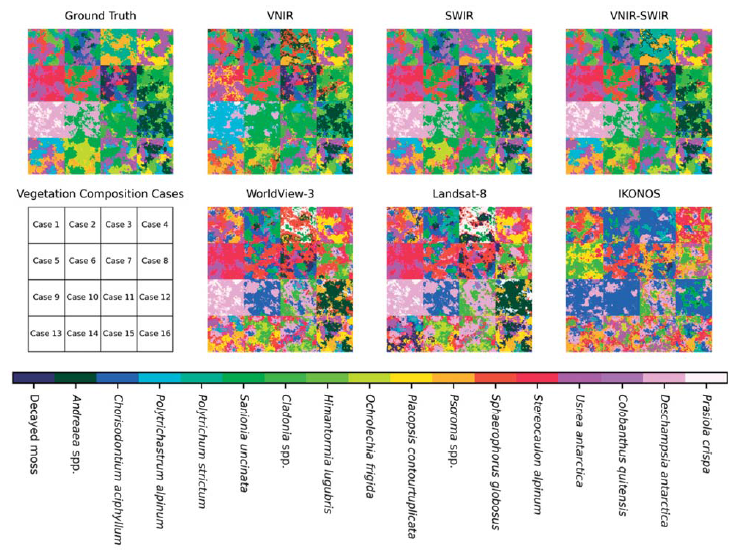 Classified vegetation species maps across different wavelengths and sensors, generated by spectral angle mappers according to the developed spectral library