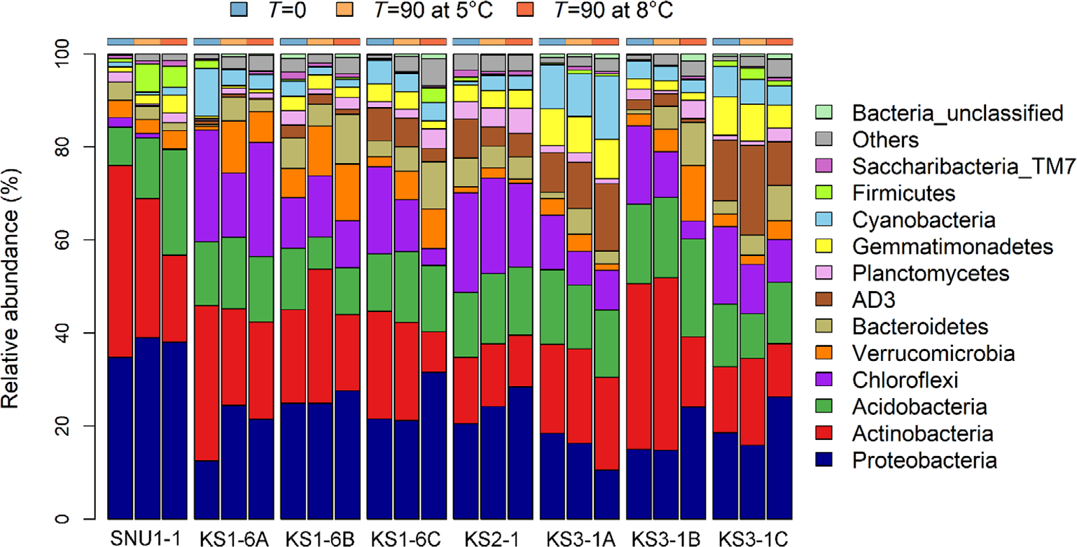 Distribution of bacterial phyla across different soils under different incubation temperatures (5℃ and 8℃). Bacterial phyla with less than 1% relative abundance are grouped into the ‘Others’ category after summing their relative abundance values