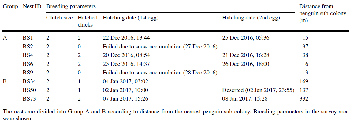 Information on Brown Skua (Stercorarius lonnbergi) nests recorded by the monitoring cameras