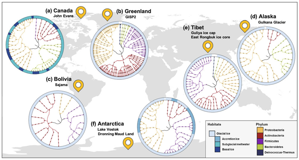 Comparison of bacterial strains isolated from Canada, Greenland, Tibet, Alaska, and Antarctica. The circular visualization presents taxonomic profiles of isolated strains for each location and their habitats in glacial ice. The information of each isolate is shown in Table 2