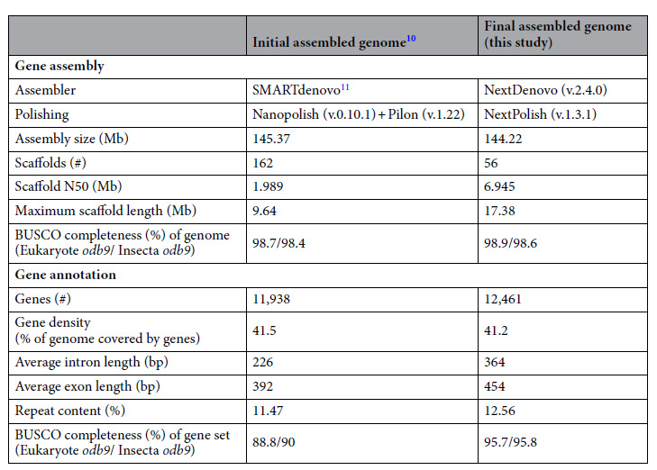 Comparison of assembly and annotation statistics for the new and previously reported P. steinenii genomes