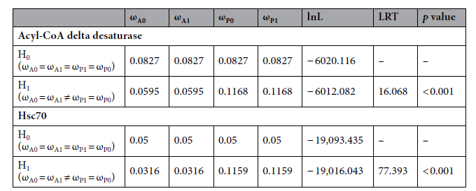 Selective pressures in acyl-CoA delta desaturase and Hsc70. The null hypothesis (H0) and the alternative hypothesis (H1) were defined as the case where dN/dS (ω) values are identical in P. steineniispecific and orthologous gene families and when ω differs between P. steinenii-specific and orthologous gene families, respectively. The ω (ωA0, ωA1, ωP1, and ωP0) indicates the dN/dS ratio for the corresponding branch (Supplementary Fig. 3). All p values were calculated using a log-likelihood (lnL) values and likelihood ratio test (LRT) and adjusted false discovery rate (FDR)