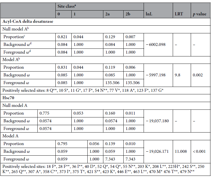 Branch-site test of positive selection on P. steinenii-specific acyl-CoA delta desaturase and Hsc70. All p values were calculated using InL and LRT values and adjusted using the FDR (**p-value < 0.01 and *p value < 0.05). a Branch-site model for both gene families is run under the assumption of four site classes: class 0 = sites under negative selection in all gene family branches; class 1 = sites evolving neutrally in all gene family branches; class 2a = sites positively selected at P. steinenii-specific gene family branches, but negatively selected at other orthologous gene family branches; class 2b = sites positively selected on P. steinenii-specific gene family branches, but neutrally evolving on other orthologous gene family branches. b The branch-site model are defined two types of model: Model A allowing positive selection along P. steinenii-specific gene family branches; Null Model A allowing neutral evolution and negative selection. c The proportion indicates the fraction of sites within the gene family that belongs to each of the four site classes. d Foreground and background ω are the dN/dS ratio for the P. steinenii-specific gene family branches and all other orthologous gene family branches, respectively