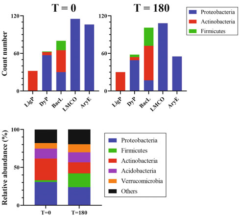 Metatranscriptomic analysis for the changes in (A) expression and taxonomic affiliation and (B) bacterial host abundance of humic substancedegradative extracellular enzymes during the 180-day microcosm incubation of ACK1-1 soil. Abbreviations: LigP, lignin peroxidase; DyP, dye-decolorizing peroxidase; BacL, bacterial laccase; LMCO, laccase-like multicopper oxidase; AryE, β-aryl etherase