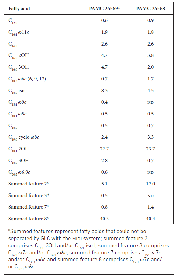 Fatty acid profiles of strains PACM 26569T and PAMC 26568 All strains were grown on R2A plates at 15 °C for 7 days. Results are shown as percentages of the total fatty acids. Fatty acids accounting for up to 10 % or more are presented in bold. nd, Not detected