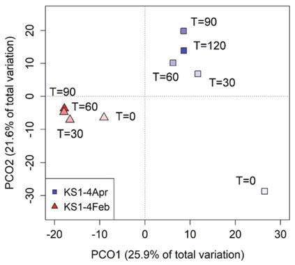 PCoA plot of the bacterial community showing the shifting patterns in community composition throughout the incubation time