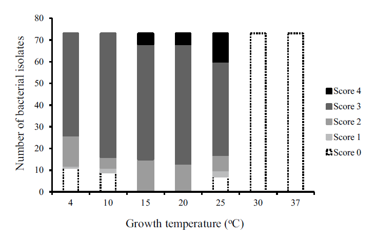 Temperature effects on HA utilization by polar bacterial isolates. The scores represent the degree of HA utilization from 1 to 4. A higher number indicates better bacterial growth on MSB minimal medium plates supplemented with HA as the carbon source