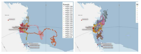 CTD Tag 및 GPS-CTD Tag를 부착한 개체들의 성별에 따른 위치정보 (2021년 2월 ~ 2021년 6월)