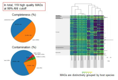샷건 메타지놈 분석을 통해 얻어진 MAG(Metagenome-Assembled Genome)의 품질정보와 두 물범 종에 따라 문(Phylum) 수준에서 장내미생물 군집의 박테리아 구성을 비교한 히트맵