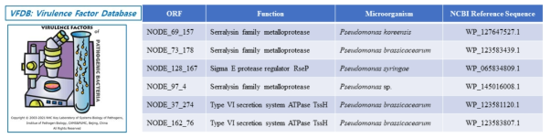 식물 병원성인자 탐색에 이용한 Virulence Factor Database(좌) 및 확보한 병원성인자 목록(우)