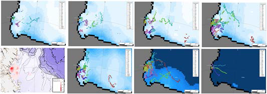 2022년 2월~9월 커넬밀도 추정으로 물범의 주요 취식지 지도 작성, 해빙 분포에 따른 물범 이동경로 파악