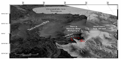 장보고기지 주변 폴리냐와 연안 해빙을 관측한 Sentinel-1 SAR 영상 예시(2020년 6월 15일 촬영 영상)