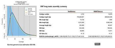 실버피쉬 유전체 크기 예측과 long read assembly 결과 요약