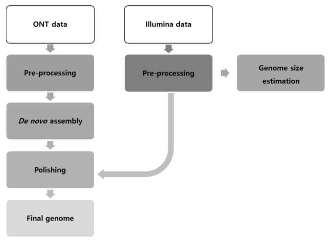 genome assembly pipeline