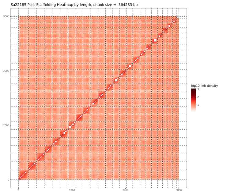 Post scaffolding heatmap