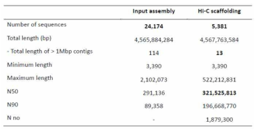 1차 Hi-C scaffolding 결과