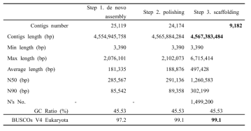 남극좀새풀 유전체의 de novo assembly 과정 요약표
