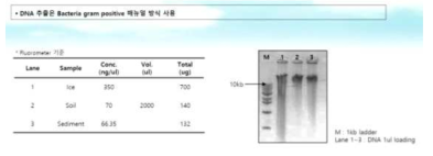 극지 미생물자원은행의 미생물 환경 유전체 pool 확보