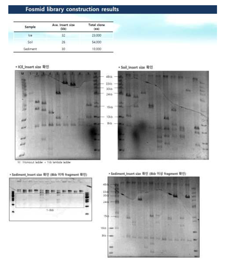 PAMC 유래의 얼음, 토양, 침전물 유래의 미생물 fosmid library 구축