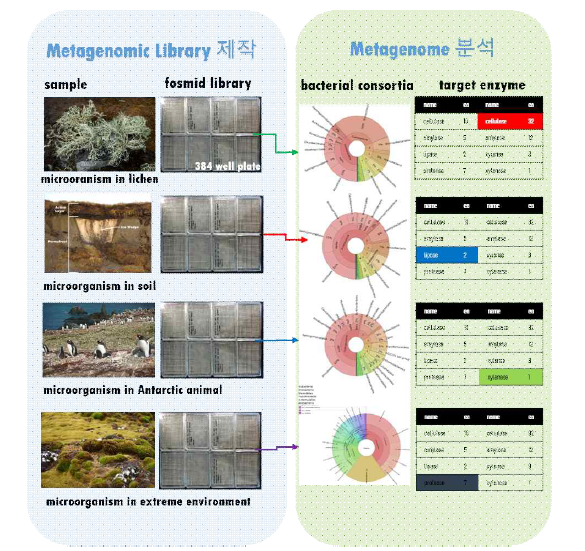 극지 메타지놈의 유전체 분석 및 타겟 유전자 선정