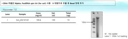 남극 이끼 근권 토양시료로부터 환경 유전체 추출 및 정제