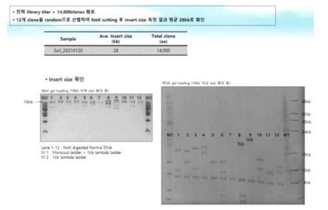 남극이끼 근권토양 유래 환경 유전체로부터 메타지놈 fosmid 라이브러리 구축