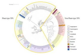 남극 낫깃털이끼의 terpene synthase 인 SuTPS 유전자군의 계통유연분석