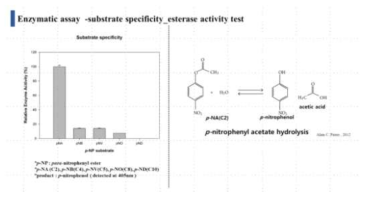 WP_062000720.1 [Burkholderiaceae] 효소는 짧은 길이의 para-nitrophenyl acetate에 강한 활성을 보임