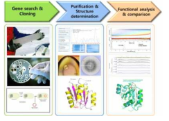 극지환경 특이적 단백질의 삼차구조 및 기능분석 과정