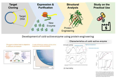 저온성 효소의 특성과 구조정보 기반 효소 개량