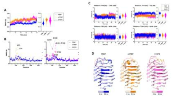 FfIBP 유래 3종의 재조합 단백질의 분자동역학(Molecular dynamics) 실시 결과. 고활성 결빙방지단백질은 Capping head region의 유동성이 낮게 유지됨을 관찰. Capping head region의 유동성과 얼음과 결합하는 아미노산의 유동성의 상관관계에 따라 결빙방지단백질의 활성이 달라짐을 확임