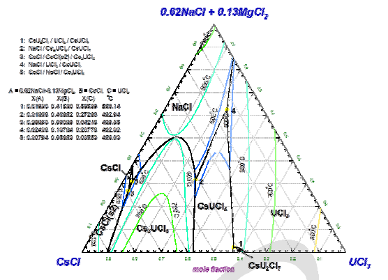 NaCl-MgCl2-UCl3-CsCl 사성분계 용융염 상평형도 모델링 결과