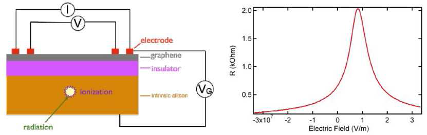 Graphene/Si FET 기반 검출센서 소자 및 저항 변화 특성