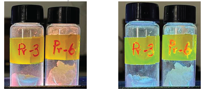 254 nm(왼쪽), 365 nm(오른쪽) 파장 UV 램프 조사 결과