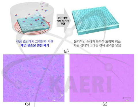 (a) vacuum 기반 건식 전사공정 모식도 (b) 습식 전사공정 vacuum 기반 건식 전사공정의 광학현미경 표면 분석이미지