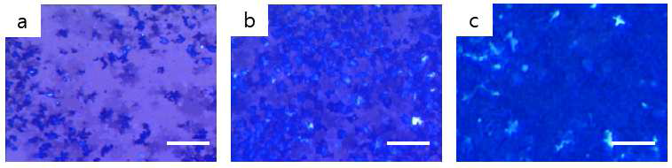 Multilayer graphene 형성 및 광학현미경 이미지 (a) one layer MLG (b) two layer MLG (c) three layer MLG