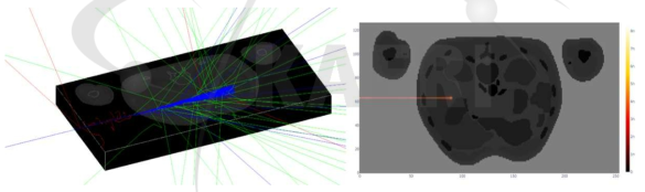 Geant4 몬테칼로 전산모사 예시(좌) 및 복셀 별 선량분포 예시(우)