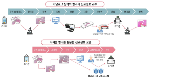 병리과 진료정보 교류 시나리오