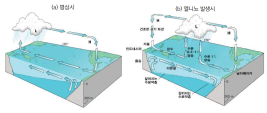 태평양 적도해역에 나타나는 대기순환과 그에 따른 해양의 구조(김 등, 2011)