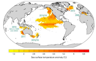 1982~2016년 기간 평균 대비 해양 표층 수온 이상치와 지속일수로 계산한 해양열파 발생 (Frölicher and Laufkötter, 2018)