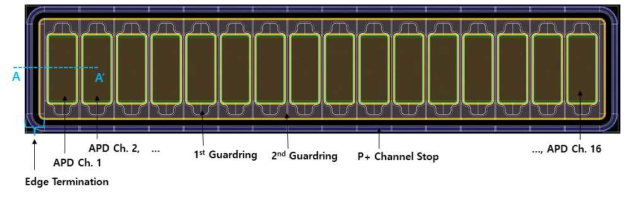 1x16 Channel APD Array의 Layout 설계 도면