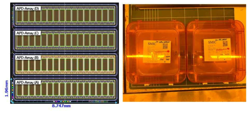 APD-Array Chip 의 마스크 설계 도면 및 제작된 마스크 사진