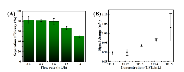 유량별 병원균 분리 효율 (A)과 균의 농도별 검출신호 (B)