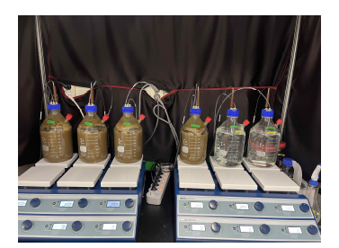 구축된 Lab-scale batch reactor system