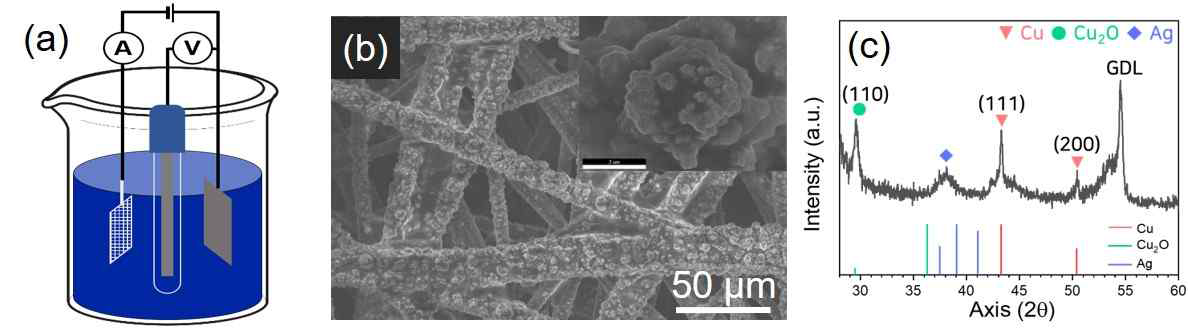 (a) 산화구리-은 전기화학 촉매 도금 3전극 셀 모식도, (b) 합성한 전극촉매의 주사전자현미경 사진, (c) 합성한 전극촉매의 X선 회절분석