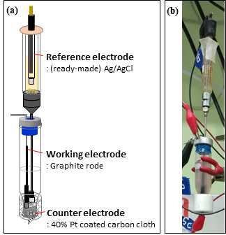 생물막 형성된 작업전극을 포함한 전기화학특성 측정용 Mini-Cell